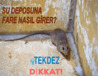 Su deposuna fare nasıl girer?