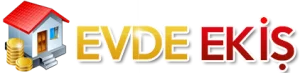 evde-logos-300x73-1.png.webp